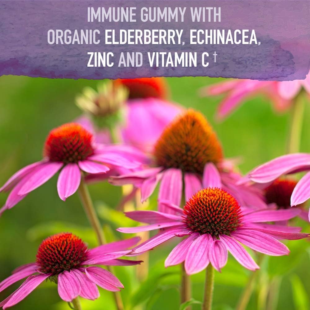 Garden of Life Organics Elderberry Gummies with Vitamin C, Zinc & Echinacea – Immune Support for Adults & Kids 120 Count