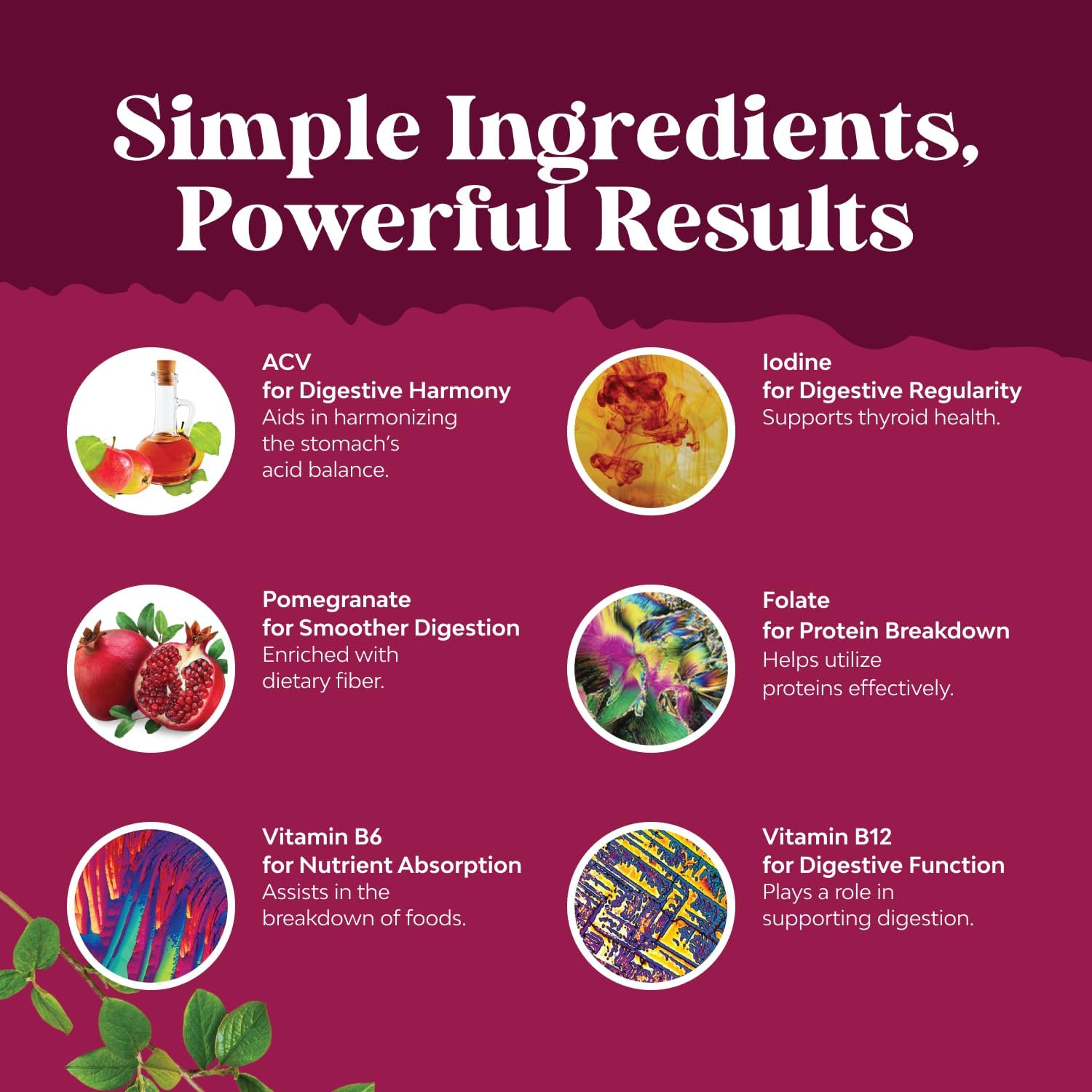 Apple Cider Vinegar Gummies with Mother, B12 & B6 – Digestive and Metabolism Support 60 Count