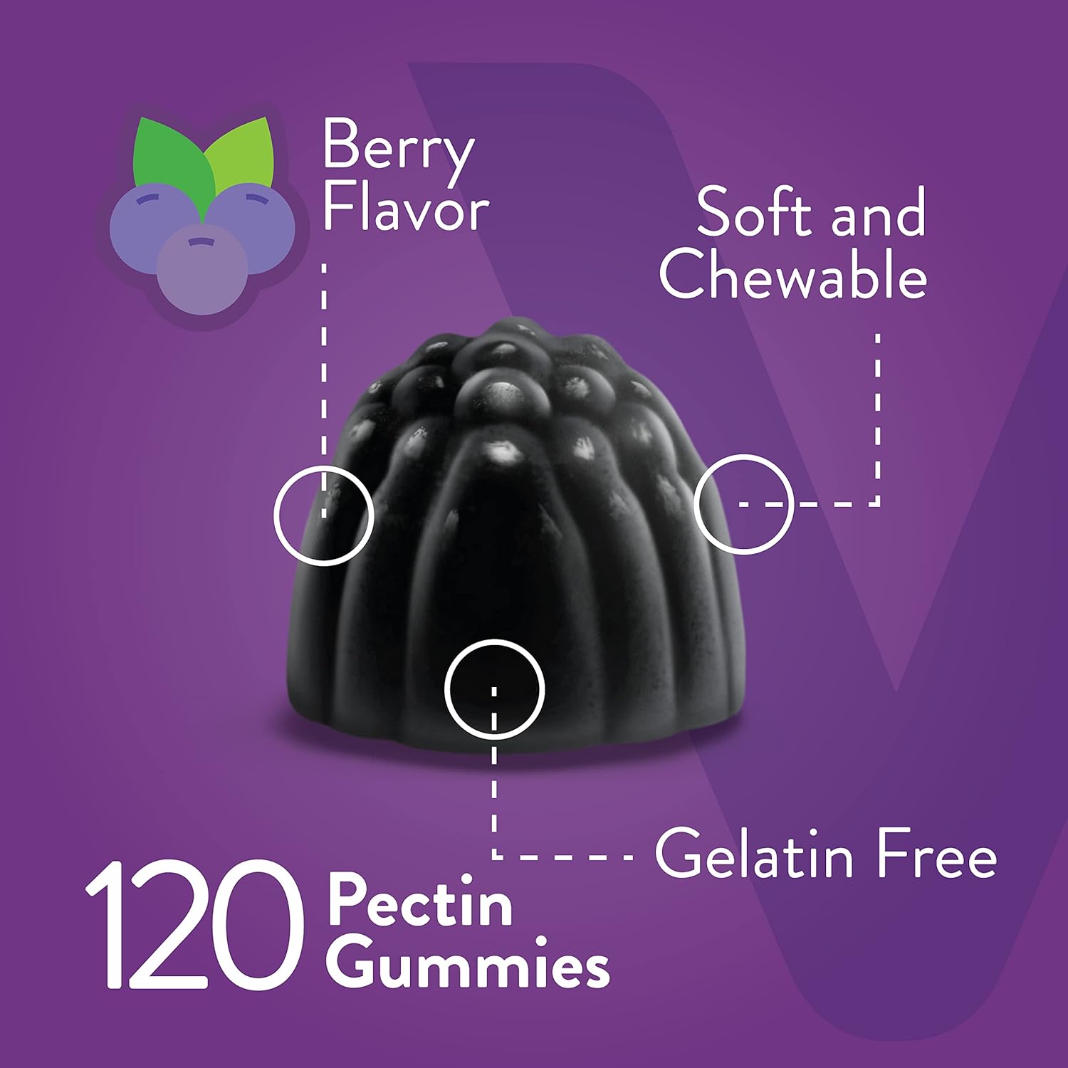 Viteey Sambucus Elderberry Gummies for Adults – Elderberry Vitamin C and Zinc Immunity Gummies - Vegan, Gluten-Free – 120 Count