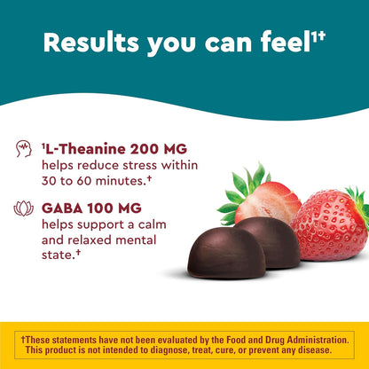 Nature Made Wellblends Stress Relief Gummies with L-Theanine & GABA – Strawberry 40 Count
