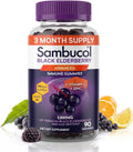 Sambucol Elderberry Gummies with Vitamin C & Zinc – Immune Support Supplement for Adults & Kids, 90 Count