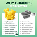 GLP-1 Support Gummies with Berberine, Cinnamon & Turmeric – Appetite Control & Metabolism Support