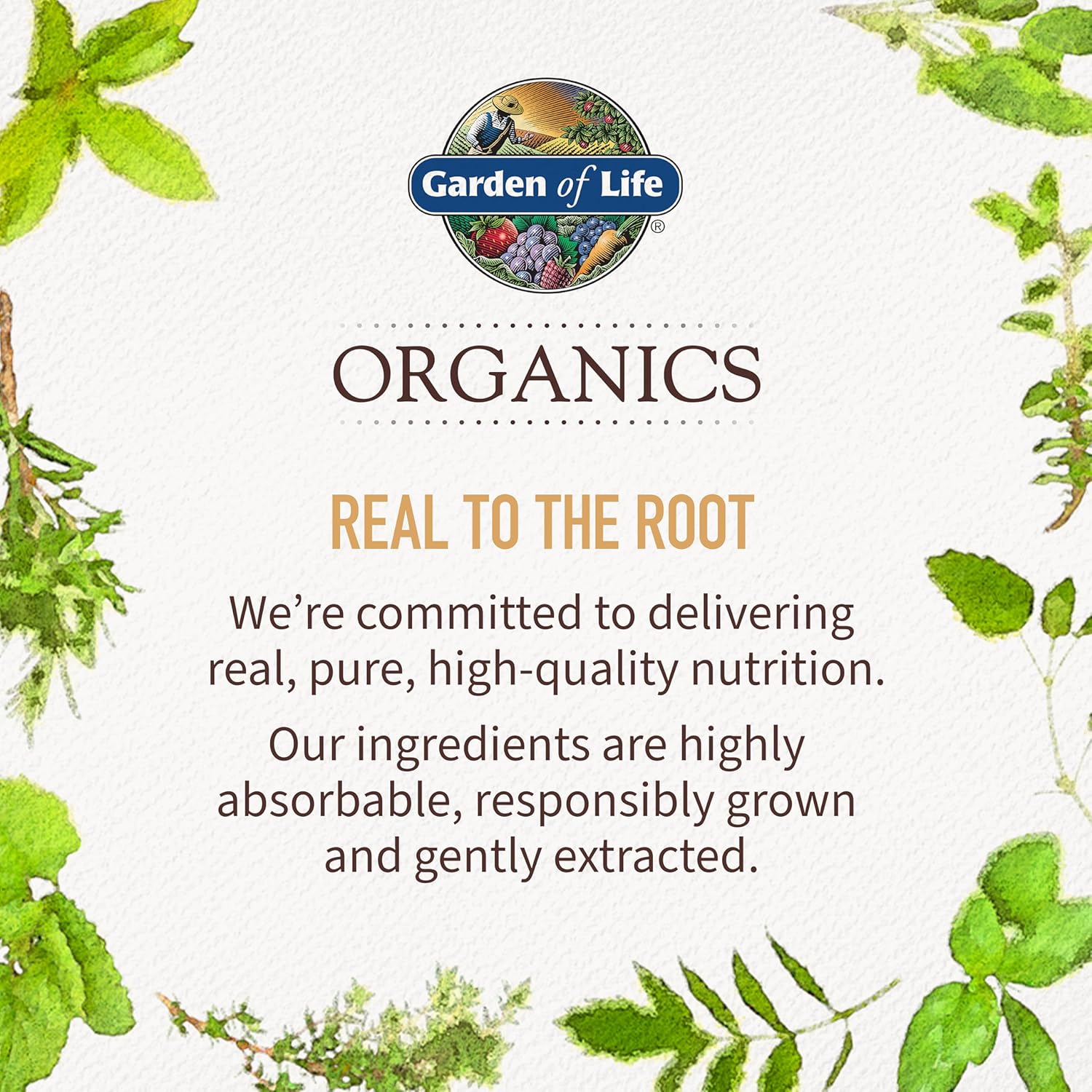Garden of Life Organics Elderberry Gummies with Vitamin C, Zinc & Echinacea – Immune Support for Adults & Kids 120 Count